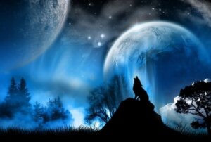 Rating: Safe Score: 0 Tags: ambiguous_gender blue_theme canid canine canis cloud cool_colors detailed_background e621 feral forest howl mammal moon nature night outside plant silhouette sky solo star starry_sky tree unknown_artist wolf wood User: bunchy7s Rating: Safe Score: 0 Tags: ambiguous_gender blue_theme canid canine canis cloud cool_colors detailed_background e621 feral forest howl mammal moon nature night outside plant silhouette sky solo star starry_sky tree unknown_artist wolf wood User: bunchy7s