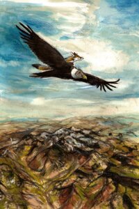 Rating: Safe Score: 0 Tags: 2010 ambiguous_gender avian beak bird canid canine cloud culpeofox duo e621 feathered_wings feathers feral flying fox mammal mountain outside painting_(artwork) sky spread_wings tail traditional_media_(artwork) wings User: bunchy7s Rating: Safe Score: 0 Tags: 2010 ambiguous_gender avian beak bird canid canine cloud culpeofox duo e621 feathered_wings feathers feral flying fox mammal mountain outside painting_(artwork) sky spread_wings tail traditional_media_(artwork) wings User: bunchy7s