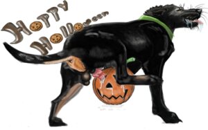 Rating: Explicit Score: 0 Tags: 1boy balls canine collar cum erection feral fucking_pumpkin fur gdane halloween jack-o'-lantern male male_only penis pumpkin pumpkin_masturbation rule34 skull_fucking solo tail User: bunchy7s Rating: Explicit Score: 0 Tags: 1boy balls canine collar cum erection feral fucking_pumpkin fur gdane halloween jack-o'-lantern male male_only penis pumpkin pumpkin_masturbation rule34 skull_fucking solo tail User: bunchy7s