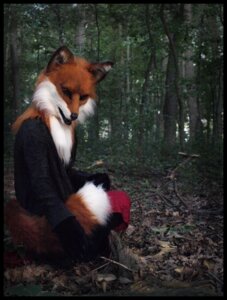 Rating: Safe Score: 0 Tags: anthro black_border border canid canine clothing costume detailed_background e621 female forest fox fursuit grandfathered_content jacket mammal nature outside photography_(artwork) plant qarrezel real solo topwear tree wood User: bunchy7s Rating: Safe Score: 0 Tags: anthro black_border border canid canine clothing costume detailed_background e621 female forest fox fursuit grandfathered_content jacket mammal nature outside photography_(artwork) plant qarrezel real solo topwear tree wood User: bunchy7s