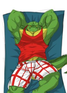 Rating: Safe Score: 0 Tags: abs anthro biceps biped clothing crocodile crocodilian e621 flexing hands_behind_head hi_res looking_at_viewer lying male muscular muscular_anthro muscular_male on_back pecs pose reptile scales scalie shirt simple_background solo tank_top topwear wani white_background yongdasom User: bunchy7s