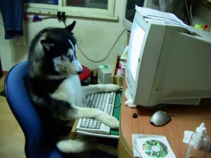 Rating: Safe Score: 0 Tags: 2008 4:3 4_toes ambiguous_gender black_body black_fur black_nose canid canine canis cd chair cheek_tuft chest_tuft computer computer_keyboard container crt cup curtains desk displacement domestic_dog drinking_glass e621 electronics facial_tuft feet feral floppy_disk fur furniture glass glass_container glass_cup grandfathered_content half-closed_eyes humor husky inside mammal monitor multicolored_body multicolored_fur narrowed_eyes nordic_sled_dog office_chair paper photography_(artwork) real real_world side_view sitting solo spitz table toes tuft two_tone_body two_tone_fur unimpressed unknown_artist what whiskers white_body white_fur window wine_glass User: bunchy7s