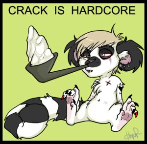 Rating: Questionable Score: 0 Tags: 5_toes abstract_background anthro biped black_border blonde_hair blue_eyes border claws cocaine drugs e621 ear_piercing english_text eye_scar facial_piercing facial_scar feet female fur glamfur green_eyes hair half-closed_eyes heterochromia lemur lip_piercing low_res mammal markings narrowed_eyes pawpads piercing pipe primate ring-tailed_lemur ring_(marking) ringed_tail round_ears scar short_hair signature simple_background sitting smoke smoking_pipe solo strepsirrhine striped_markings striped_tail stripes tail tail_markings text toe_claws toes toony white_body white_fur zeriara zeriara_(character) User: bunchy7s