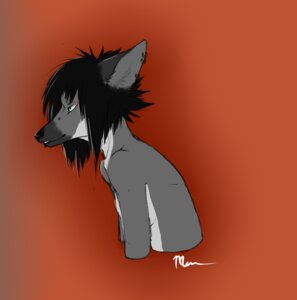Rating: Safe Score: 0 Tags: anthro black_hair black_nose blue_eyes canid canine e621 ear_piercing female fur grey_body grey_fur hair looking_away lucky-dragon mammal piercing simple_background solo User: bunchy7s