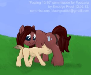 Rating: Explicit Score: 0 Tags: accessory anatomically_correct anatomically_correct_genitalia anatomically_correct_vulva animal_genitalia animal_vulva belly big_belly blue_eyes bodily_fluids breastfeeding brown_body brown_fur brown_hair cutie_mark digital_media_(artwork) duo e621 equid equine equine_genitalia equine_vulva evensong fan_character female feral flower flower_in_hair foaling fur genitals grass hair hair_accessory hasbro horse male mammal my_little_pony outside plant pony post_birth pregnant presenting quadruped raindancer raindrop sky smudge_proof sweat tail vulva young young_feral User: bunchy7s