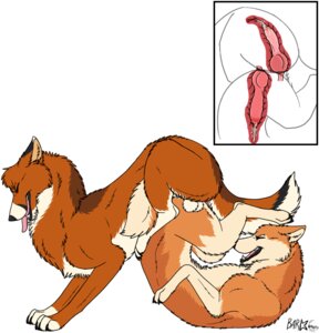 Rating: Explicit Score: 0 Tags: 2011 anal anal_knotting anal_penetration anatomically_correct animal_genitalia animal_penis ass_to_ass backsack balls balls_deep barkwoof bodily_fluids canid canine canine_genitalia canine_penis canis claws cum cum_in_ass cum_inside digitigrade domestic_dog duo e621 erection fangs feral feral_on_feral feral_penetrated feral_penetrating feral_penetrating_feral genital_fluids genitals helios_husky internal knot knotted_penis knotting male male/male male_penetrated male_penetrating male_penetrating_male mammal mutual_anal mutual_anal_knotting mutual_anal_penetration mutual_knotting mutual_penetration mutual_penile mutual_penile_penetration mutual_penis_in_ass nude orgasm ouroboros_position penetration penile penile_penetration penis penis_in_ass quadruped reverse_piledriver_position sex simple_background tail taren_(barkwoof) teeth tongue unusual_position white_background User: bunchy7s Rating: Explicit Score: 0 Tags: 2011 anal anal_knotting anal_penetration anatomically_correct animal_genitalia animal_penis ass_to_ass backsack balls balls_deep barkwoof bodily_fluids canid canine canine_genitalia canine_penis canis claws cum cum_in_ass cum_inside digitigrade domestic_dog duo e621 erection fangs feral feral_on_feral feral_penetrated feral_penetrating feral_penetrating_feral genital_fluids genitals helios_husky internal knot knotted_penis knotting male male/male male_penetrated male_penetrating male_penetrating_male mammal mutual_anal mutual_anal_knotting mutual_anal_penetration mutual_knotting mutual_penetration mutual_penile mutual_penile_penetration mutual_penis_in_ass nude orgasm ouroboros_position penetration penile penile_penetration penis penis_in_ass quadruped reverse_piledriver_position sex simple_background tail taren_(barkwoof) teeth tongue unusual_position white_background User: bunchy7s