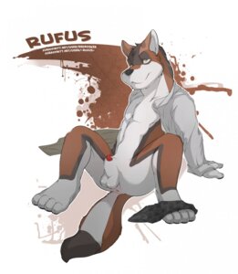 Rating: Explicit Score: 0 Tags: 2011 animal_genitalia anthro anus balls boxers_(clothing) canid canine canis clothed clothing clothing_around_one_leg digital_media_(artwork) domestic_dog e621 fur genitals hi_res husky male mammal nordic_sled_dog partially_clothed penis penis_tip redrusker rufus_(-rufus-) sheath simple_background solo spitz tail underwear underwear_around_one_leg underwear_down undressing white_background User: bunchy7s Rating: Explicit Score: 0 Tags: 2011 animal_genitalia anthro anus balls boxers_(clothing) canid canine canis clothed clothing clothing_around_one_leg digital_media_(artwork) domestic_dog e621 fur genitals hi_res husky male mammal nordic_sled_dog partially_clothed penis penis_tip redrusker rufus_(-rufus-) sheath simple_background solo spitz tail underwear underwear_around_one_leg underwear_down undressing white_background User: bunchy7s