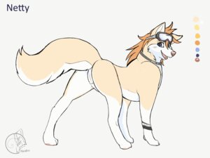 Rating: Explicit Score: 0 Tags: 2014 4:3 anus blue_eyes butt canid canine canis collar domestic_dog e621 eyewear female feral fur genitals glasses hair looking_at_viewer mammal metalfox model_sheet netty open_mouth orange_body orange_fur orange_hair pawpads paws presenting presenting_hindquarters raised_tail simple_background solo tail teeth tongue vulva white_background wolf User: bunchy7s