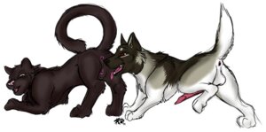 Rating: Explicit Score: 0 Tags: black black_body black_fur canid canine canis domestic_dog duo e621 erection felid feline female feral feral_on_feral fur genitals interspecies k9 knot licking male male/female mammal nude oral panther pantherine penis pussy quadruped rule34 sex simple_background sketch sketchkat tail tongue tongue_out vulva white_background User: bunchy7s
