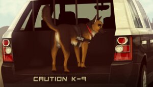 Rating: Explicit Score: 0 Tags: anatomically_correct anatomically_correct_anus anatomically_correct_balls anatomically_correct_genitalia anus backsack balls bedroom_eyes brown_body brown_fur buckled_collar butt canid canine canis car car_trunk clothed clothed_feral clothing cloud collar countershade_torso countershading day detailed_background digitigrade domestic_dog e621 english_text facial_markings feral fur genitals german_shepherd half-closed_eyes harness head_markings herding_dog inside_car inside_vehicle inviting land_rover looking_at_viewer looking_back male mammal markings motor_vehicle muzzle_(marking) narrowed_eyes outside pastoral_dog paws police police_car police_dog police_uniform police_vehicle presenting presenting_anus presenting_hindquarters raised_tail range_rover realistic_feral rear_view seductive service_dog_harness sky smile snout snout_markings solo sport_utility_vehicle tail taillights tan_body tan_countershading tan_fur tata_group text three-quarter_view uniform vehicle virtyalfobo yellow_eyes User: bunchy7s Rating: Explicit Score: 0 Tags: anatomically_correct anatomically_correct_anus anatomically_correct_balls anatomically_correct_genitalia anus backsack balls bedroom_eyes brown_body brown_fur buckled_collar butt canid canine canis car car_trunk clothed clothed_feral clothing cloud collar countershade_torso countershading day detailed_background digitigrade domestic_dog e621 english_text facial_markings feral fur genitals german_shepherd half-closed_eyes harness head_markings herding_dog inside_car inside_vehicle inviting land_rover looking_at_viewer looking_back male mammal markings motor_vehicle muzzle_(marking) narrowed_eyes outside pastoral_dog paws police police_car police_dog police_uniform police_vehicle presenting presenting_anus presenting_hindquarters raised_tail range_rover realistic_feral rear_view seductive service_dog_harness sky smile snout snout_markings solo sport_utility_vehicle tail taillights tan_body tan_countershading tan_fur tata_group text three-quarter_view uniform vehicle virtyalfobo yellow_eyes User: bunchy7s