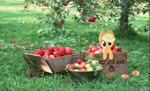 Rating: Safe Score: 0 Tags: apple applejack_(mlp) blonde_hair box clothing container crate day e621 earth_pony equid equine female feral food friendship_is_magic fruit grass green_eyes hair hasbro hat headgear headwear hi_res horse mammal mixed_media my_little_pony photo_background photography_(artwork) plant pony real solo toony tree unknown_artist wheelbarrow wood User: bunchy7s Rating: Safe Score: 0 Tags: apple applejack_(mlp) blonde_hair box clothing container crate day e621 earth_pony equid equine female feral food friendship_is_magic fruit grass green_eyes hair hasbro hat headgear headwear hi_res horse mammal mixed_media my_little_pony photo_background photography_(artwork) plant pony real solo toony tree unknown_artist wheelbarrow wood User: bunchy7s
