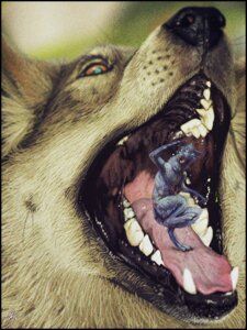 Rating: Questionable Score: 0 Tags: ambiguous_gender ambiguous_pred anthro canid canine close-up detailed detailed_fur digital_media_(artwork) duo e621 extreme_size_difference fangs feral feral_pred fur gaping_mouth imminent_oral_vore imminent_vore in_mouth kannos larger_feral male male_prey mammal micro mouth_shot on_tongue open_mouth palate photorealism realistic shopped size_difference smaller_anthro smaller_male tail teeth third-party_edit tongue vore User: bunchy7s