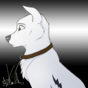 Rating: Safe Score: 0 Tags: 1:1 2011 bolt_(bolt) bolt_(film) brown_eyes canid canine canis collar digital_media_(artwork) disney domestic_dog e621 feral fur german_shepherd half-length_portrait herding_dog kiwi-heart_(artist) male mammal nude pastoral_dog portrait side_view signature simple_background sitting solo tattoo toony white_body white_fur User: bunchy7s Rating: Safe Score: 0 Tags: 1:1 2011 bolt_(bolt) bolt_(film) brown_eyes canid canine canis collar digital_media_(artwork) disney domestic_dog e621 feral fur german_shepherd half-length_portrait herding_dog kiwi-heart_(artist) male mammal nude pastoral_dog portrait side_view signature simple_background sitting solo tattoo toony white_body white_fur User: bunchy7s