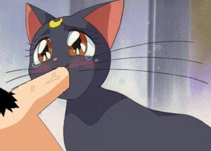 Rating: Explicit Score: 0 Tags: bestiality bishoujo_senshi_sailor_moon black_body black_fur blowjob blush bodily_fluids brown_eyes cat crying disembodied_penis domestic_cat duo e621 erection felid feline felis fellatio female female_on_human female_penetrated feral feral_focus feral_penetrated fur genitals human human_on_feral human_penetrating human_penetrating_feral interspecies low_res luna_(sailor_moon) male male/female male_on_feral male_penetrating male_penetrating_female mammal moon oral oral_penetration penetration penile penis pubic_hair rule34 sailor_moon_(series) sex sex-blade tagme tears uncensored unknown_artist whiskers zoophilia User: bunchy7s