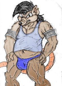 Rating: Questionable Score: 0 Tags: anthro big_bad_rat bulge clothed clothing e621 male mammal murid murine overweight overweight_anthro overweight_male rat rodent shirt simple_background solo speedo swimwear tail tank_top topwear unknown_artist white_background User: bunchy7s Rating: Questionable Score: 0 Tags: anthro big_bad_rat bulge clothed clothing e621 male mammal murid murine overweight overweight_anthro overweight_male rat rodent shirt simple_background solo speedo swimwear tail tank_top topwear unknown_artist white_background User: bunchy7s
