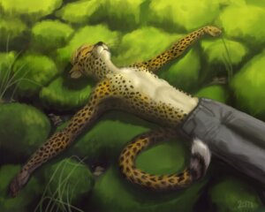 Rating: Safe Score: 0 Tags: 5:4 5_fingers anthro biped black_body black_fur bottomwear cheetah clothed clothing e621 eyes_closed felid feline fingers fur grass hair koul lying male mammal on_back orange_body orange_fur pants plant short_hair solo spots spread_arms tail topless whiskers white_body white_fur User: bunchy7s Rating: Safe Score: 0 Tags: 5:4 5_fingers anthro biped black_body black_fur bottomwear cheetah clothed clothing e621 eyes_closed felid feline fingers fur grass hair koul lying male mammal on_back orange_body orange_fur pants plant short_hair solo spots spread_arms tail topless whiskers white_body white_fur User: bunchy7s