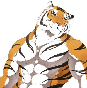 Rating: Safe Score: 0 Tags: abs anthro biceps big_muscles biped black_body black_fur clothed clothing countershading e621 felid fur giraffe_(artist) lam-chan male mammal markings muscular muscular_anthro muscular_male one_eye_closed orange_body orange_fur pantherine pecs pose simple_background solo standing stripes tiger topless white_body white_fur wink yellow_eyes User: bunchy7s Rating: Safe Score: 0 Tags: abs anthro biceps big_muscles biped black_body black_fur clothed clothing countershading e621 felid fur giraffe_(artist) lam-chan male mammal markings muscular muscular_anthro muscular_male one_eye_closed orange_body orange_fur pantherine pecs pose simple_background solo standing stripes tiger topless white_body white_fur wink yellow_eyes User: bunchy7s