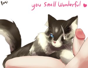 Rating: Explicit Score: 0 Tags: bestiality blue_eyes bodily_fluids cum cum_on_face dark_souls dialogue domestic_cat duo e621 english_text erection felid feline felis female female_on_human feral fromsoftware fur genital_fluids genitals heart_symbol human human_on_feral humanoid_genitalia humanoid_penis interspecies male male/female male_on_feral mammal nude penis pienji simple_background sweet_shalquoir text whiskers white_background User: bunchy7s