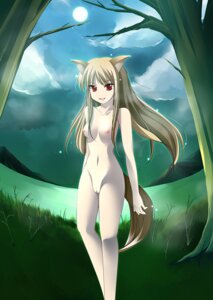 Rating: Explicit Score: 0 Tags: 1girls ahen animal_ears breasts brown_hair completely_nude female firefly forest holo long_hair moon nipples nude nude_female nudist outdoors outside pointy_chin pussy red_eyes rule34 small_breasts solo spice_and_wolf tail wolf_ears User: bunchy7s