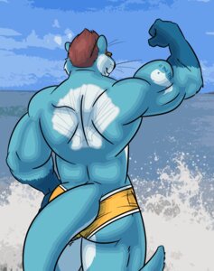 Rating: Questionable Score: 0 Tags: anthro biceps big_muscles biped blue_body blue_fur brown_hair butt clamcrusher clothed clothing cloud detailed_background e621 flexing fur gloves_(marking) hair hand_on_hip male mammal markings muscular muscular_anthro muscular_male mustelid otter outside portrait rear_view sea seascape short_hair sky solo speedo standing swimwear tail three-quarter_portrait topless water whiskers white_body white_fur User: bunchy7s Rating: Questionable Score: 0 Tags: anthro biceps big_muscles biped blue_body blue_fur brown_hair butt clamcrusher clothed clothing cloud detailed_background e621 flexing fur gloves_(marking) hair hand_on_hip male mammal markings muscular muscular_anthro muscular_male mustelid otter outside portrait rear_view sea seascape short_hair sky solo speedo standing swimwear tail three-quarter_portrait topless water whiskers white_body white_fur User: bunchy7s
