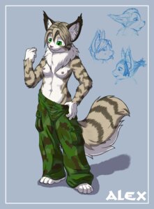 Rating: Questionable Score: 0 Tags: 2010 alex_(bencoon) anthro bencoon blue_border border bottomwear breasts camo camo_bottomwear camo_clothing camo_pants camo_print clothed clothing domestic_cat e621 felid feline felis female green_eyes lynx maine_coon mammal nipples pants pattern_bottomwear pattern_clothing pattern_pants solo tail tomboy topless User: bunchy7s