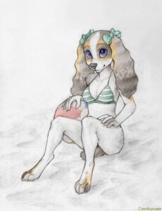 Rating: Safe Score: 0 Tags: accessory adolescent anthro ball beach_ball bikini biped black_nose blue_eyes bow_(feature) bow_accessory bow_ribbon breasts canid canine canis claws cleavage clothed clothing coonkun digitigrade domestic_dog e621 feet female hair_accessory hair_bow hair_ribbon hindpaw inflatable long_ears looking_at_viewer mammal paws pool_toy purple_eyes ribbons simple_background sitting solo swimwear toe_claws traditional_media_(artwork) triangle_bikini two-piece_swimsuit white_background young young_anthro young_female User: bunchy7s Rating: Safe Score: 0 Tags: accessory adolescent anthro ball beach_ball bikini biped black_nose blue_eyes bow_(feature) bow_accessory bow_ribbon breasts canid canine canis claws cleavage clothed clothing coonkun digitigrade domestic_dog e621 feet female hair_accessory hair_bow hair_ribbon hindpaw inflatable long_ears looking_at_viewer mammal paws pool_toy purple_eyes ribbons simple_background sitting solo swimwear toe_claws traditional_media_(artwork) triangle_bikini two-piece_swimsuit white_background young young_anthro young_female User: bunchy7s