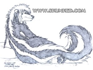 Rating: Questionable Score: 0 Tags: 2010 4_toes anthro bangs biped black_pawpads claws e621 english_text feet female fluffy fluffy_tail fur greyscale hindpaw james_m_hardiman lori_(jmh) lounging mammal mephitid monochrome nude pawpads paws rear_view reclining simple_background sketch skunk smile soles solo striped_skunk tail text toes white_background User: bunchy7s Rating: Questionable Score: 0 Tags: 2010 4_toes anthro bangs biped black_pawpads claws e621 english_text feet female fluffy fluffy_tail fur greyscale hindpaw james_m_hardiman lori_(jmh) lounging mammal mephitid monochrome nude pawpads paws rear_view reclining simple_background sketch skunk smile soles solo striped_skunk tail text toes white_background User: bunchy7s