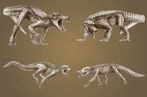 Rating: Safe Score: 0 Tags: ambiguous_gender brown_background claws crocodile crocodilian digital_media_(artwork) digitigrade e621 fangs feral monochrome multiple_images national_geographic open_mouth quadruped reptile scalie simple_background solo tail teeth unknown_artist User: bunchy7s Rating: Safe Score: 0 Tags: ambiguous_gender brown_background claws crocodile crocodilian digital_media_(artwork) digitigrade e621 fangs feral monochrome multiple_images national_geographic open_mouth quadruped reptile scalie simple_background solo tail teeth unknown_artist User: bunchy7s