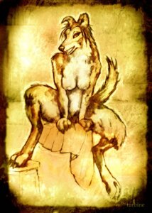 Rating: Questionable Score: 0 Tags: anthro biped border_collie breasts canid canine canis claws collie digitigrade domestic_dog e621 feet female fur herding_dog mammal monochrome nipples nude open_mouth pastoral_dog raised_tail sepia sheepdog sitting sketch solo tail turbinedivinity User: bunchy7s Rating: Questionable Score: 0 Tags: anthro biped border_collie breasts canid canine canis claws collie digitigrade domestic_dog e621 feet female fur herding_dog mammal monochrome nipples nude open_mouth pastoral_dog raised_tail sepia sheepdog sitting sketch solo tail turbinedivinity User: bunchy7s
