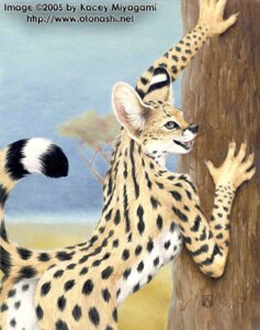 Rating: Questionable Score: 0 Tags: 2005 anthro butt casual_nudity e621 felid feline female kacey looking_at_viewer low_res mammal nude outside plant savanna serval sky solo tail tree wood User: bunchy7s Rating: Questionable Score: 0 Tags: 2005 anthro butt casual_nudity e621 felid feline female kacey looking_at_viewer low_res mammal nude outside plant savanna serval sky solo tail tree wood User: bunchy7s