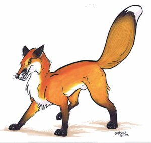 Rating: Explicit Score: 0 Tags: 2012 animal_genitalia canid canine digitigrade dipstick_tail e621 feral fox fur genitals gloves_(marking) leg_markings male mammal markings orange_body orange_fur quadruped red_fox roz_gibson sheath socks_(marking) solo tail tail_markings true_fox User: bunchy7s Rating: Explicit Score: 0 Tags: 2012 animal_genitalia canid canine digitigrade dipstick_tail e621 feral fox fur genitals gloves_(marking) leg_markings male mammal markings orange_body orange_fur quadruped red_fox roz_gibson sheath socks_(marking) solo tail tail_markings true_fox User: bunchy7s