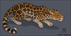 Rating: Safe Score: 0 Tags: 2001 ambiguous_gender black_body black_fur brown_body brown_fur brown_nose e621 felid feral frown fur jaguar leopard_spots mammal oce pantherine paws simple_background solo spots tail whiskers white_body white_fur yellow_eyes User: bunchy7s Rating: Safe Score: 0 Tags: 2001 ambiguous_gender black_body black_fur brown_body brown_fur brown_nose e621 felid feral frown fur jaguar leopard_spots mammal oce pantherine paws simple_background solo spots tail whiskers white_body white_fur yellow_eyes User: bunchy7s