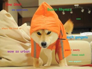 Rating: Safe Score: 0 Tags: 4:3 ambiguous_gender brown_body brown_fur canid canine canis clothing doge dogelore domestic_dog e621 eminem english_text feral fur furniture gangsta grandfathered_content hoodie leash mammal meme real shiba_inu solo spitz text topwear unknown_artist User: bunchy7s