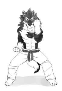 Rating: Safe Score: 0 Tags: abs anthro biceps canid canine canis chest_tuft claws clothed clothing countershading e621 fist fur genchi greyscale karate looking_at_viewer male mammal monochrome muscular muscular_anthro muscular_male nipples orion_(aluminemsiren) pecs simple_background solo tail topless tuft white_background wolf User: bunchy7s