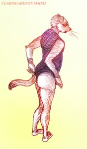 Rating: Safe Score: 0 Tags: 2012 anthro armband biped blush butt claws clothed clothing digital_drawing_(artwork) digital_media_(artwork) e621 feet female finger_claws flat_chested flustered fully_clothed hindpaw leotard mammal mixed_media mustelid musteline oddwilds one-piece_swimsuit open_mouth paws pen_(artwork) shy simple_background sketch solo standing swimwear tail traditional_media_(artwork) true_musteline weasel whiskers User: bunchy7s