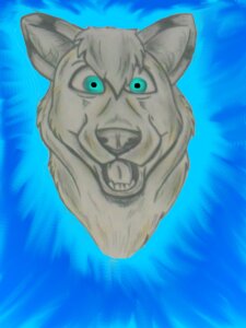 Rating: Safe Score: 0 Tags: 3:4 akiak blue_eyes canid canine canis derp_eyes domestic_dog e621 grandfathered_content hi_res hypnosis male mammal mind_control open_mouth smile smirk solo soul_devouring_eyes wolf young User: bunchy7s Rating: Safe Score: 0 Tags: 3:4 akiak blue_eyes canid canine canis derp_eyes domestic_dog e621 grandfathered_content hi_res hypnosis male mammal mind_control open_mouth smile smirk solo soul_devouring_eyes wolf young User: bunchy7s
