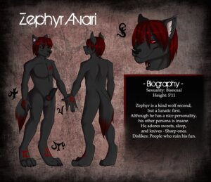 Rating: Explicit Score: 0 Tags: anthro balls biped canid canine canis claws e621 english_text erection genitals hair knot male mammal model_sheet nude penis runes sinto smile solo text wolf zephyr_avari User: bunchy7s