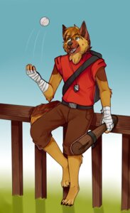 Rating: Safe Score: 0 Tags: anthro ball bandage baseball_(ball) baseball_bat bat_(object) brown_body brown_fur brown_hair canid canine clothing dog_tags e621 fur green_eyes hair happy hi_res male mammal open_mouth outside scout_(team_fortress_2) shirt sky smile solarbyte solo tail team_fortress_2 topwear valve valve_corporation User: bunchy7s