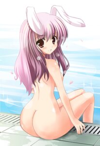 Rating: Explicit Score: 0 Tags: 07th_expansion animal_ears ass azuma_kurume blush bunny_ears feet_in_water female female_only huge_ass kurume_shou lens_flare looking_back lowres nude petals pink_eyes pink_hair pool poolside red_eyes reisen_udongein_inaba rule34 savage_boss short_hair siesta_45 siesta_sisters sitting soaking_feet solo sparkle touhou umineko_no_naku_koro_ni water User: bunchy7s
