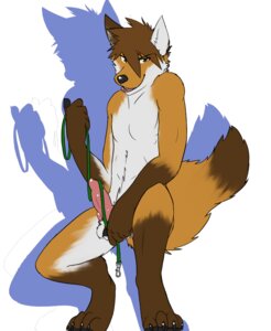 Rating: Explicit Score: 0 Tags: 1boy 2010 balls canine canine_penis fox fur furry_ears furry_tail knot leash licking_lips male male_only nude penis rule34 solo swizzlestix tail User: bunchy7s
