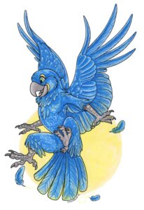 Rating: Safe Score: 0 Tags: 4_fingers 4_toes ambiguous_gender anisodactyl anthro avian avian_feet bird claws e621 feathered_wings feathers feet female fingers flying hyacinth_macaw macaw neotropical_parrot noktivus nude parrot solo spread_wings talons toes true_parrot unavailable_at_source wings User: bunchy7s Rating: Safe Score: 0 Tags: 4_fingers 4_toes ambiguous_gender anisodactyl anthro avian avian_feet bird claws e621 feathered_wings feathers feet female fingers flying hyacinth_macaw macaw neotropical_parrot noktivus nude parrot solo spread_wings talons toes true_parrot unavailable_at_source wings User: bunchy7s