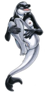Rating: Explicit Score: 0 Tags: 5_fingers 5_toes anthro anus aquatic ayame_emaya barefoot bent_legs biped blue_eyes breasts cetacean dolphin e621 feet female fingers flukes genitals hector's_dolphin legs_together mammal marker_(artwork) membrane_(anatomy) nipples nude oceanic_dolphin open_mouth plantigrade rostrum simple_background solo tail toes toothed_whale traditional_media_(artwork) vulva webbed_hands white_background User: bunchy7s