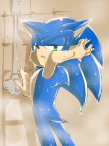 Rating: Safe Score: 0 Tags: 3:4 5_fingers anthro bathing bathroom black_nose blue_body blue_fur digital_drawing_(artwork) digital_media_(artwork) e621 eulipotyphlan fingers fur green_eyes half-closed_eyes hedgehog inside lenmue0 looking_at_viewer looking_back looking_back_at_viewer male mammal narrowed_eyes nude nude_anthro nude_male sega shower shower_room showering solo sonic_the_hedgehog sonic_the_hedgehog_(series) standing water wet wet_body wet_fur User: bunchy7s