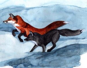 Rating: Safe Score: 0 Tags: 2006 ambiguous_gender black_body black_fur black_nose canid canine dipstick_tail duo e621 feral fox foxfeather fur grey_pawpads mammal markings multicolored_body multicolored_fur orange_body orange_fur outside pawpads quadruped running snow tail tail_markings User: bunchy7s Rating: Safe Score: 0 Tags: 2006 ambiguous_gender black_body black_fur black_nose canid canine dipstick_tail duo e621 feral fox foxfeather fur grey_pawpads mammal markings multicolored_body multicolored_fur orange_body orange_fur outside pawpads quadruped running snow tail tail_markings User: bunchy7s