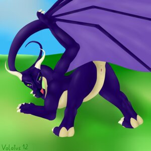 Rating: Explicit Score: 0 Tags: 1:1 2012 anus butt dragon e621 european_mythology female feral genitals hi_res looking_at_viewer membrane_(anatomy) membranous_wings mythological_creature mythological_scalie mythology presenting scalie solo spread_legs spreading tail volatus vulva western_dragon wings User: bunchy7s