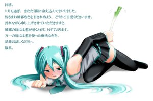 Rating: Explicit Score: 0 Tags: 1girl 1girls aqua_eyes aqua_hair aqua_nails blush boots clothing detached_sleeves female insertion kanzuki_yuu leek long_hair lying masturbation nail_polish necktie negi_suppository on_side open_mouth produce produce_dildo produce_insertion rule34 sick skirt solo spring_onion text thigh_boots thighhighs tied_hair translation_request twintails vegetable_dildo very_long_hair vocaloid white_background zettai_ryouiki!_~toki_o_tomeru_rape_ma~ User: bunchy7s