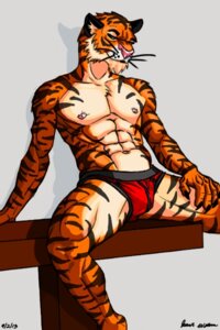 Rating: Questionable Score: 0 Tags: abs anthro athletic biceps briefs briefs_only clothed clothing clownboy1 e621 felid looking_at_viewer male mammal muscular muscular_anthro muscular_male pantherine pecs pose red_clothing red_underwear solo spread_legs spreading tiger topless underwear underwear_only User: bunchy7s