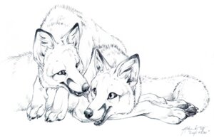 Rating: Safe Score: 0 Tags: 2008 alphaki ambiguous_gender canid canine duo e621 feral fox graphite_(artwork) greyscale licking mammal monochrome sketch tail tongue tongue_out traditional_media_(artwork) User: bunchy7s
