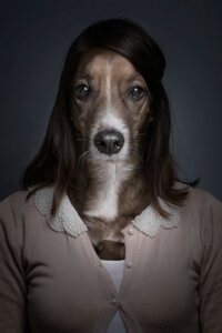 Rating: Safe Score: 0 Tags: 2:3 anthro canid canine canis domestic_dog e621 female hair half-length_portrait human long_hair mammal photo photo_manipulation portrait sebastian_magnani solo third-party_edit User: bunchy7s
