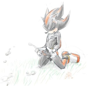 Rating: Explicit Score: 0 Tags: 2008 anthro fur gree hedgehog male male_only mammal rule34 sega shadow_the_hedgehog solo sonic_(series) sonic_adventure_2 sonic_team sonic_the_hedgehog_(series) tagme User: bunchy7s